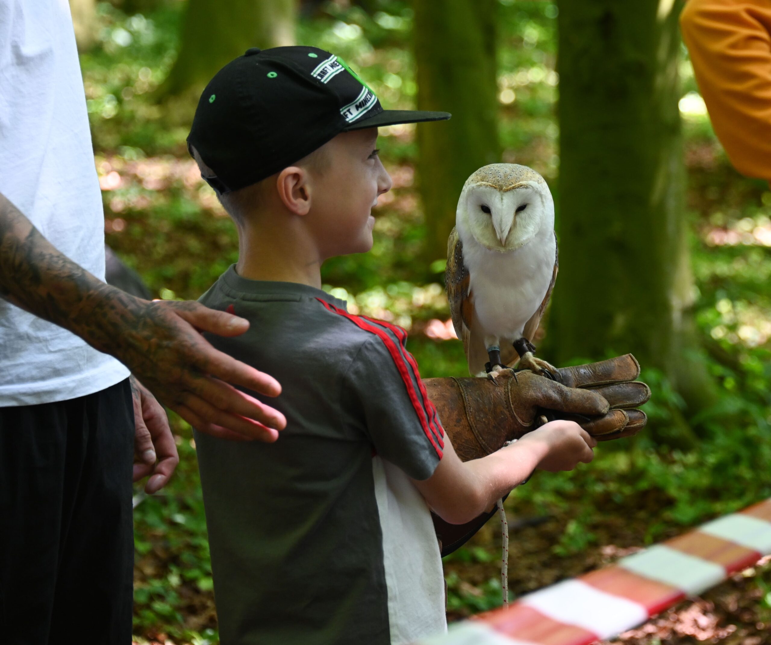 Wildlife at the Castle