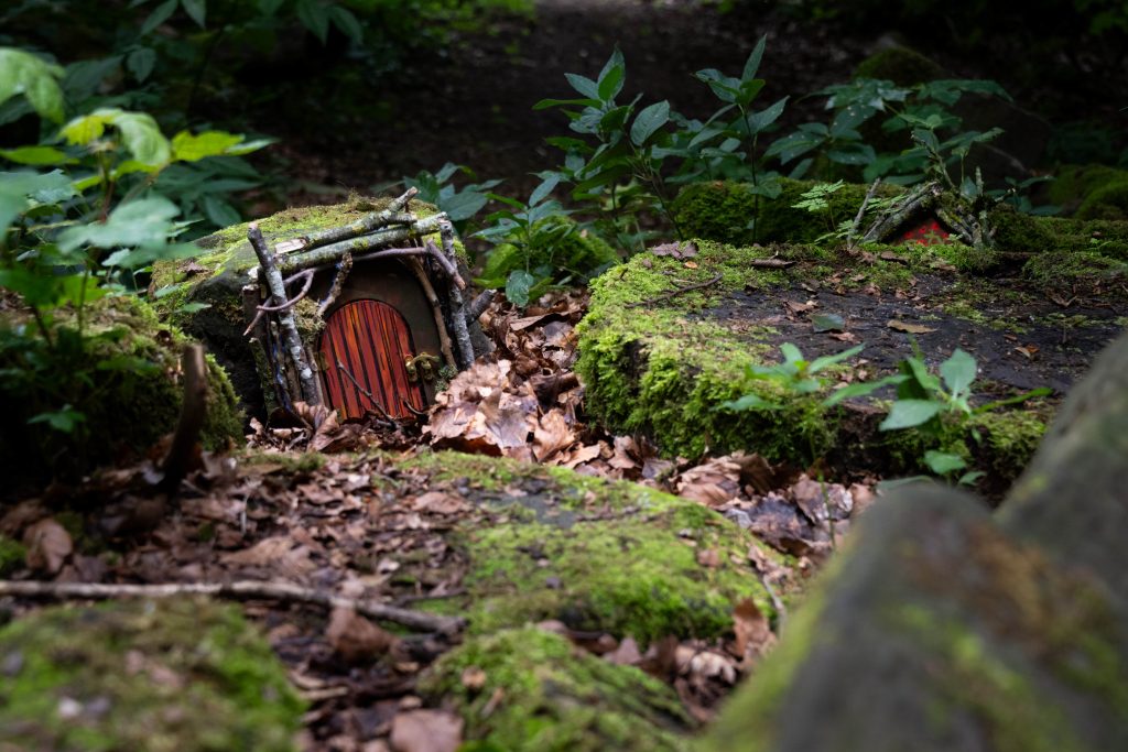 Summer Trail at Stafford Castle